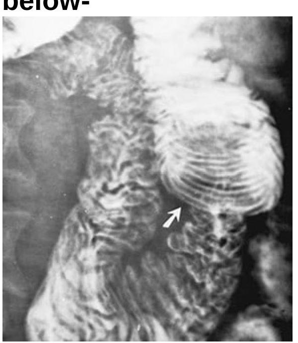 Image for question 5