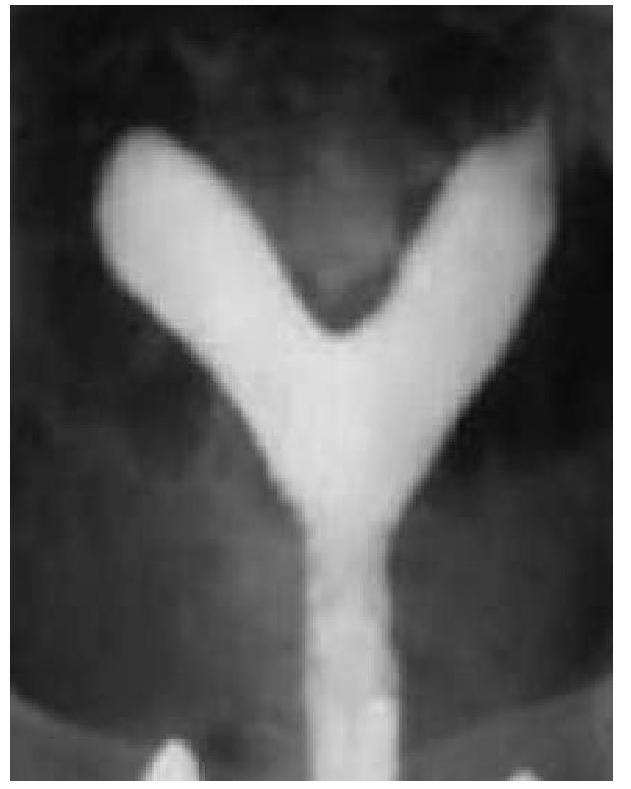 Image for question 7