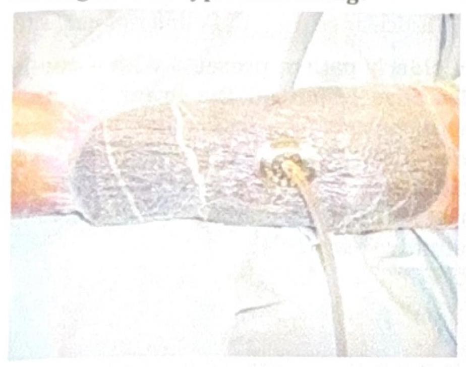 Image for question 1