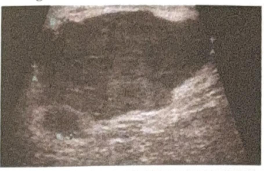 Image for question 7