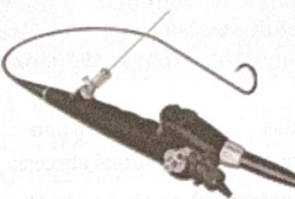 Image for question 10