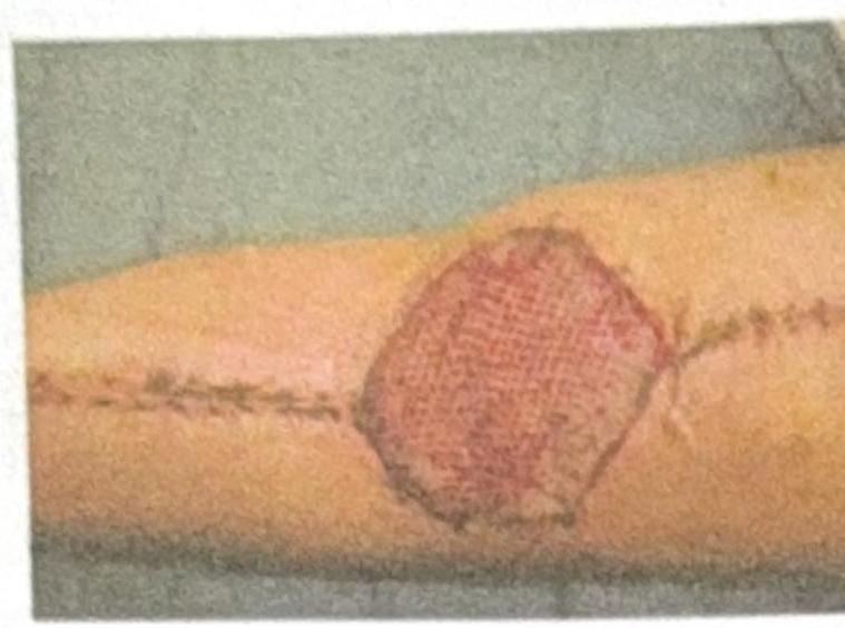 Image for question 3