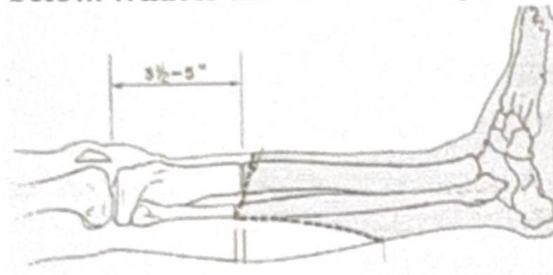 Image for question 4