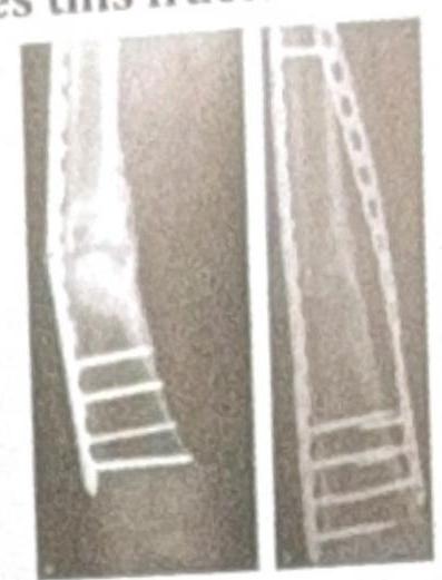 Image for question 6