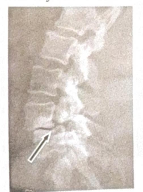 Image for question 6