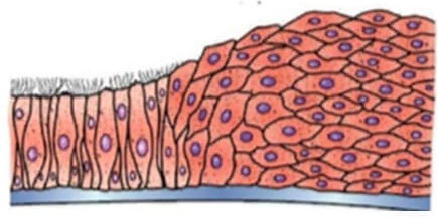 Image for question 10