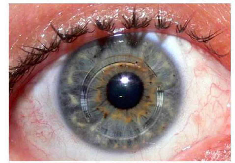 Image for question 5