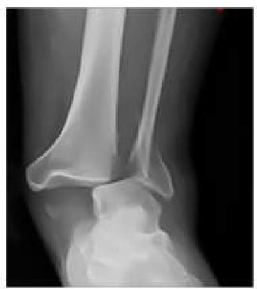 Image for question 2