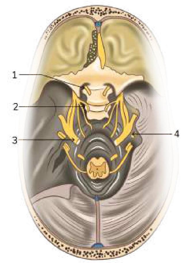 Image for question 8