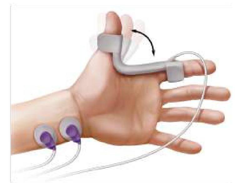 Image for question 6