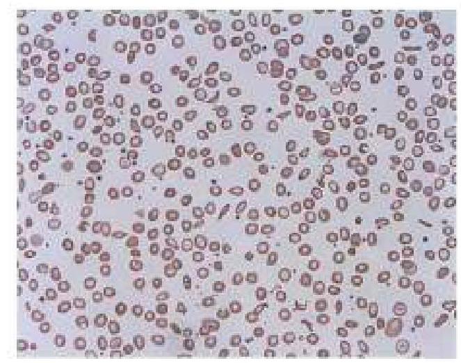 Image for question 10