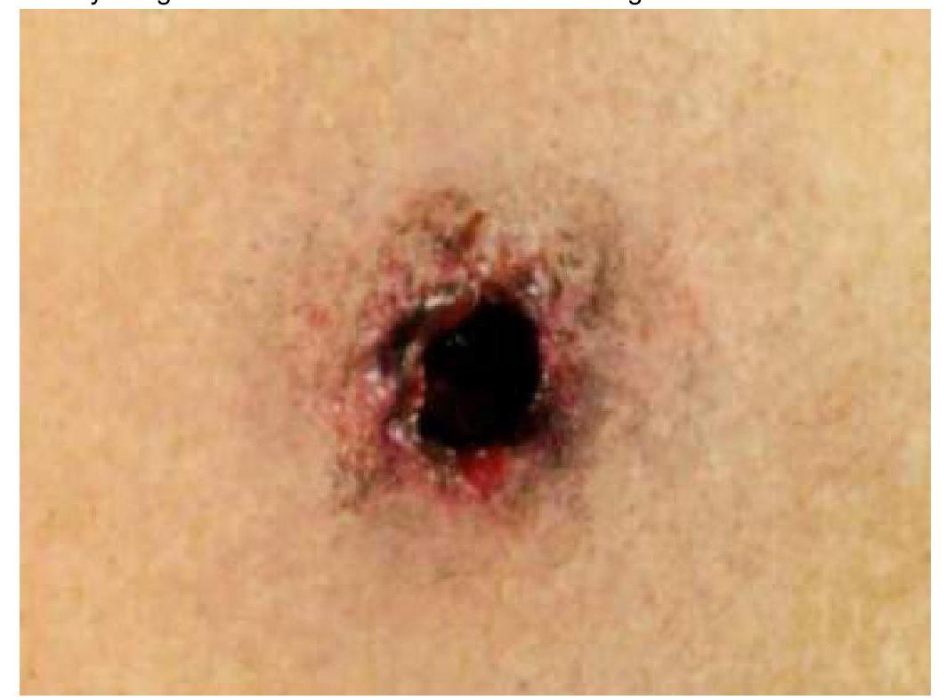 Image for question 4