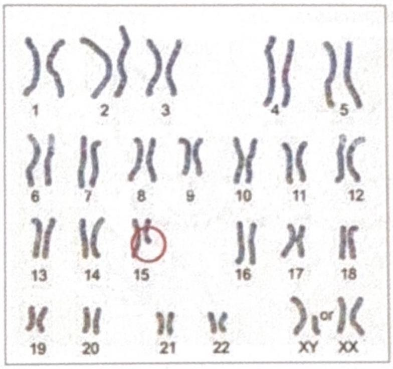 Image for question 10