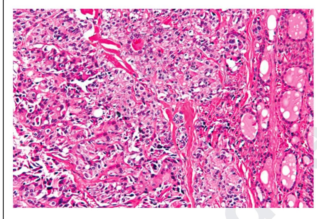 Image for question 10