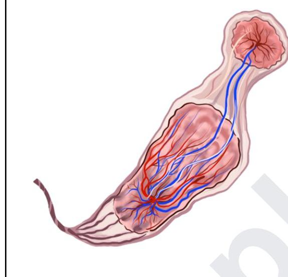 Image for question 5