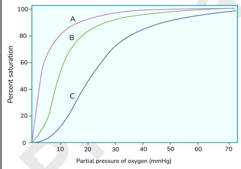 Image for question 11