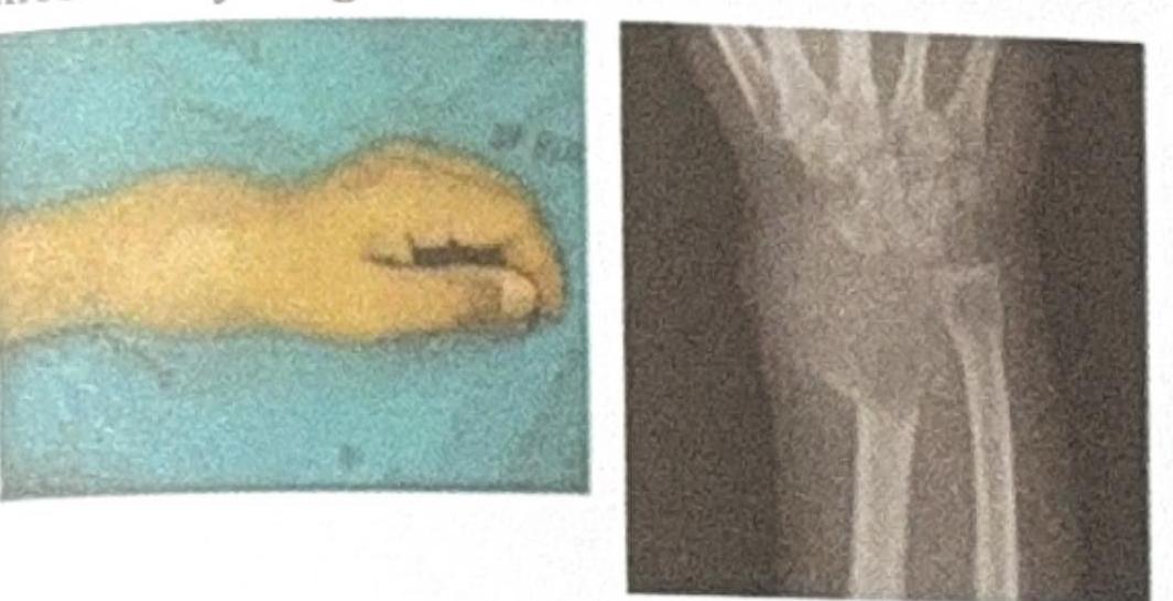 Image for question 8