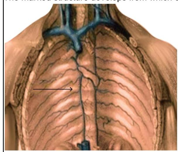 Image for question 1016