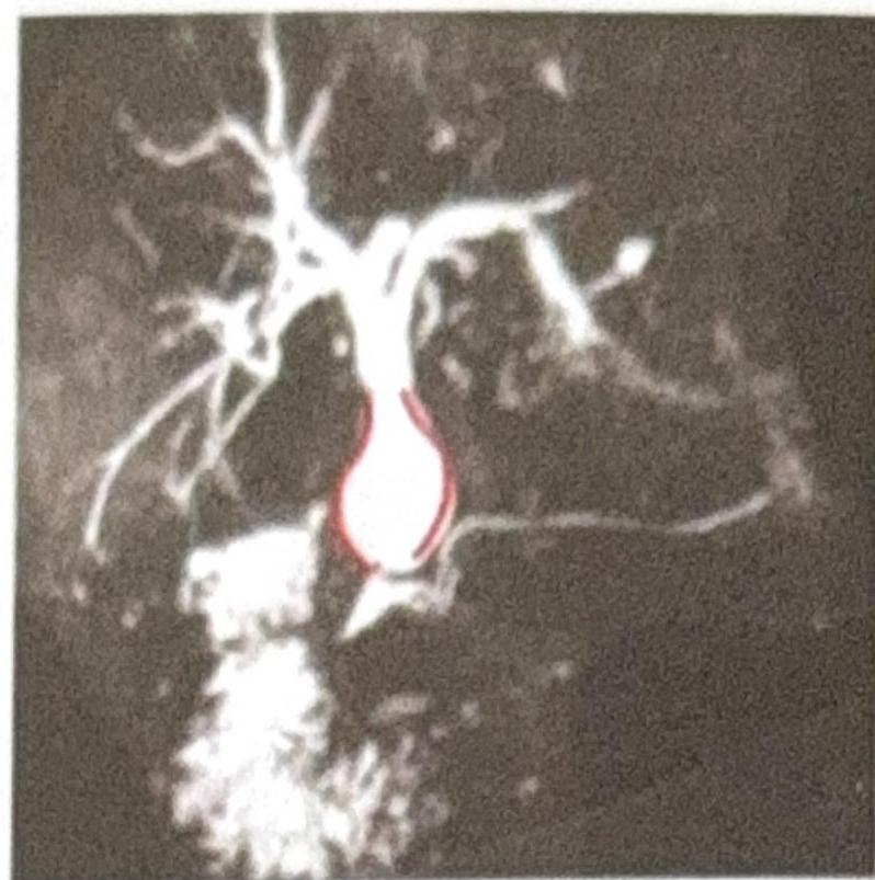 Image for question 4