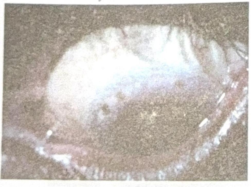 Image for question 1