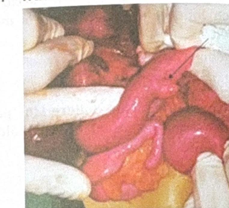 Image for question 8