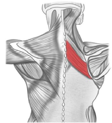 Image for question 5