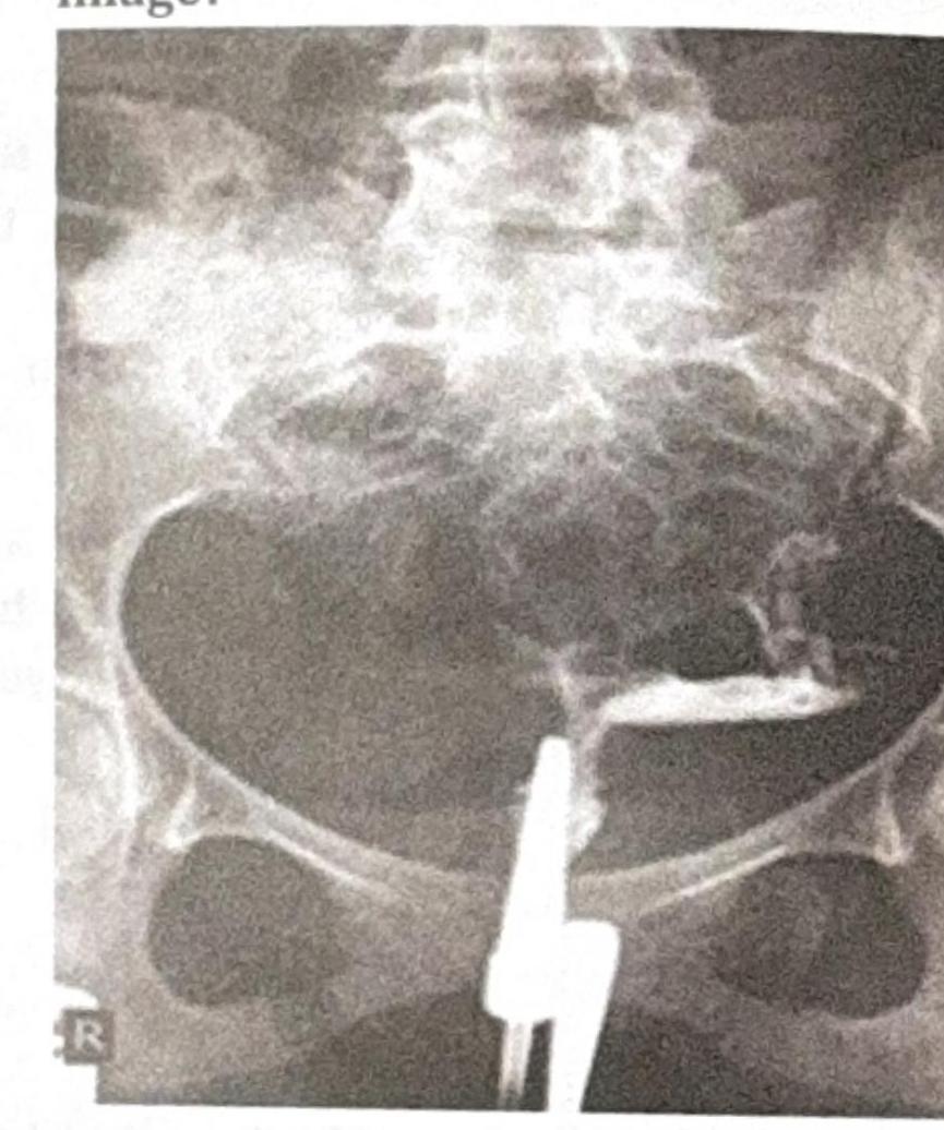 Image for question 5