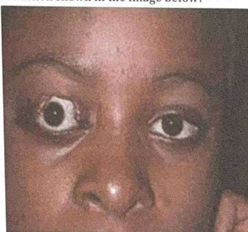 Image for question 6