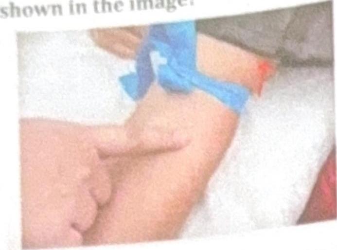 Image for question 6