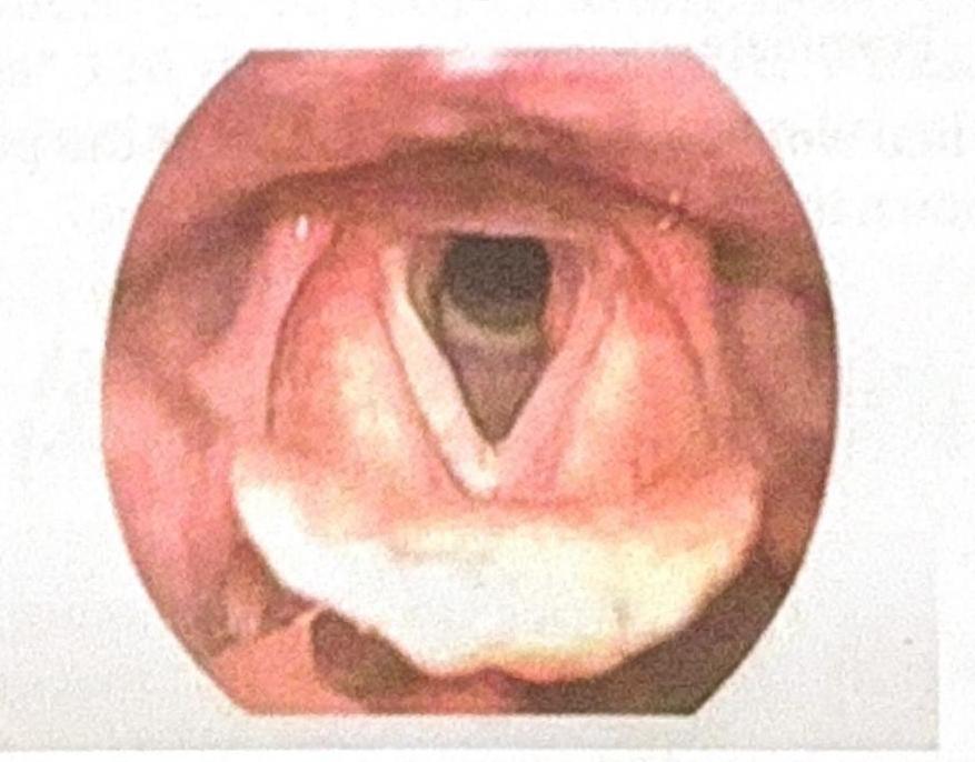 Image for question 10