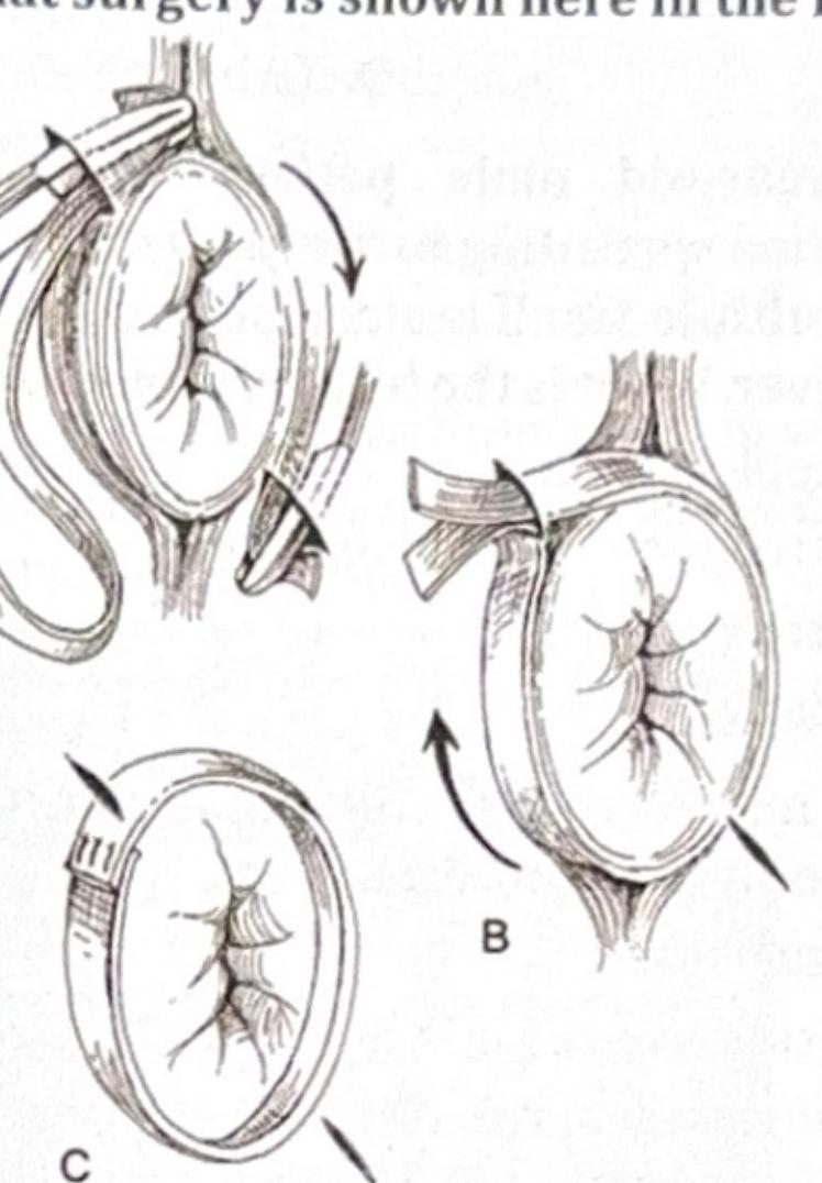 Image for question 10