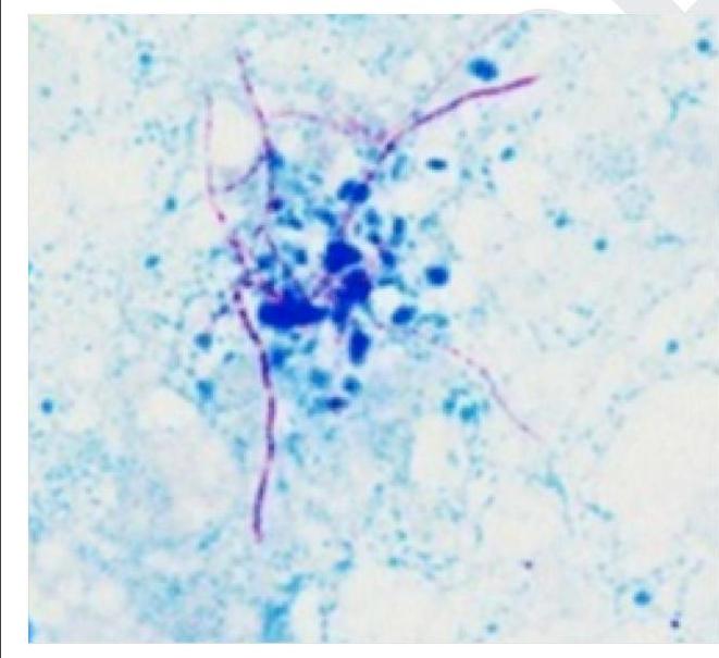 Image for question 8