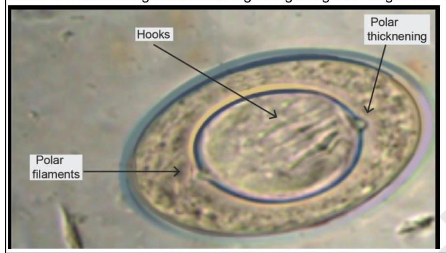 Image for question 4