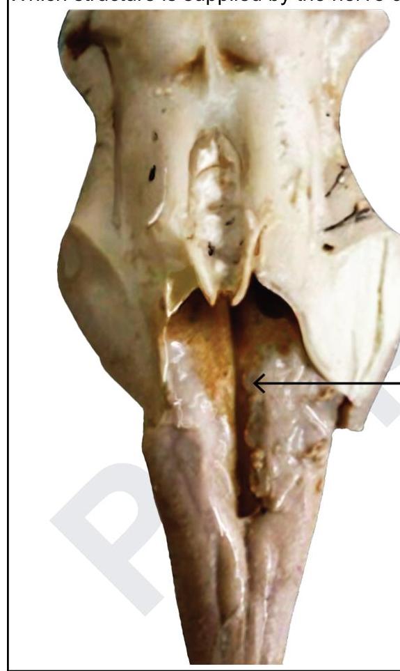 Image for question 5