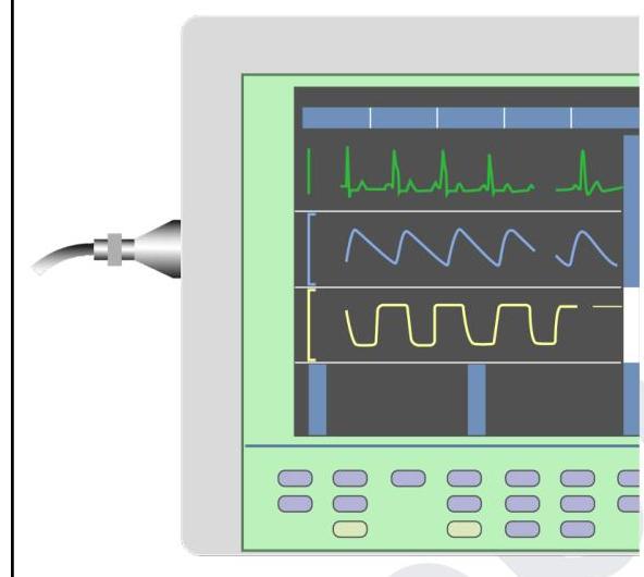 Image for question 7
