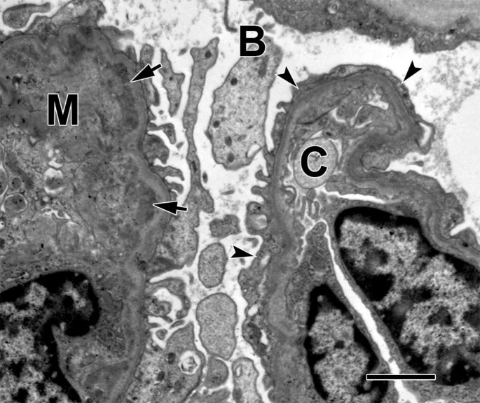 Image for question 5