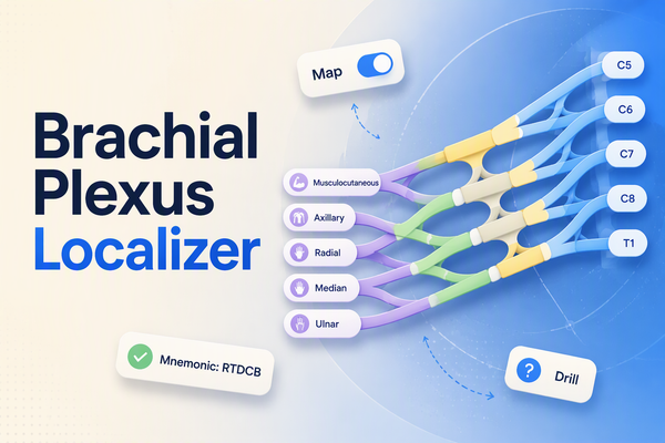 Brachial Plexus Localizer