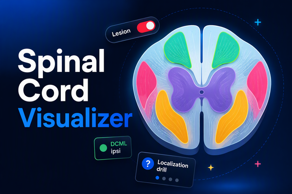 Spinal Cord Visualizer