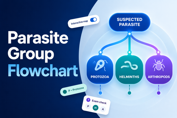 Parasite Group Flowchart