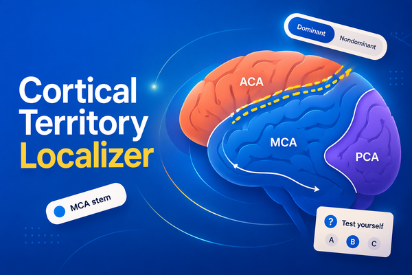 Cortical Territory Localizer