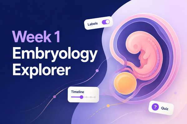 Week 1 Embryology Explorer
