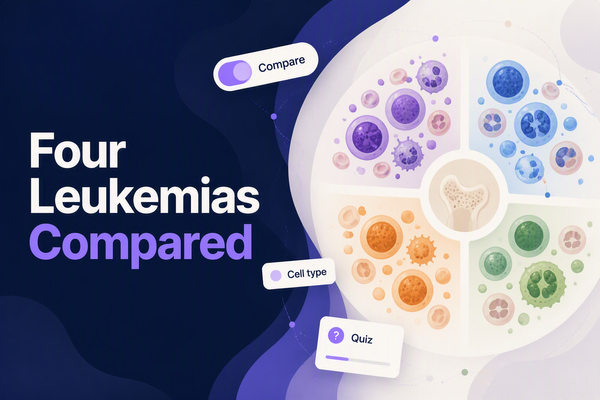 Four Leukemias Compared