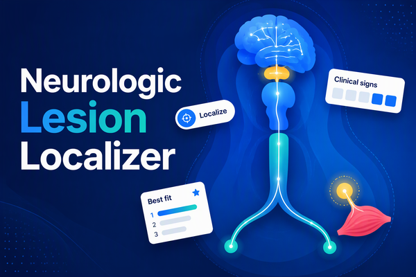 Neurologic Lesion Localizer