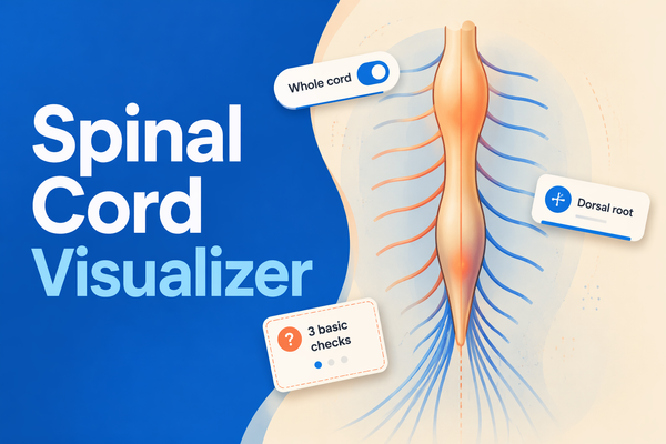 Spinal Cord Visualizer
