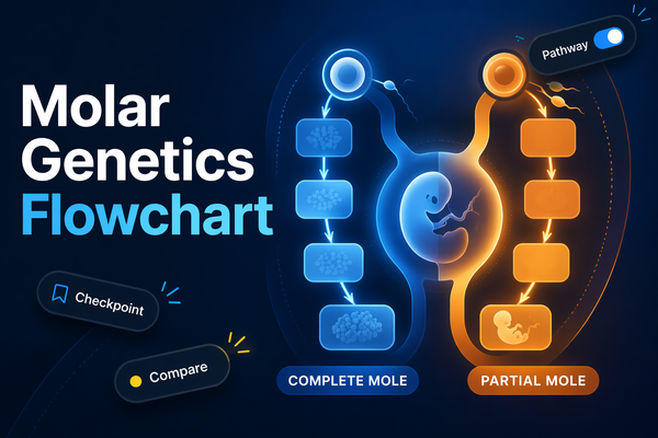 Molar Genetics Flowchart