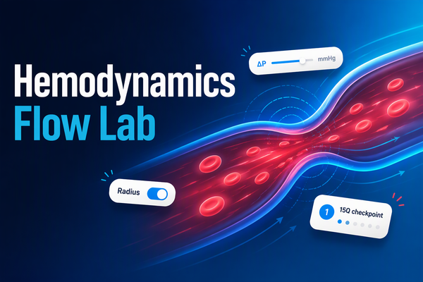 Hemodynamics Flow Lab