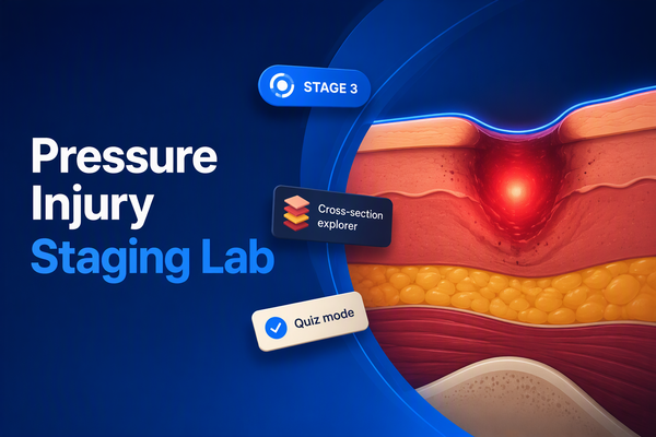 Pressure Injury Staging Lab